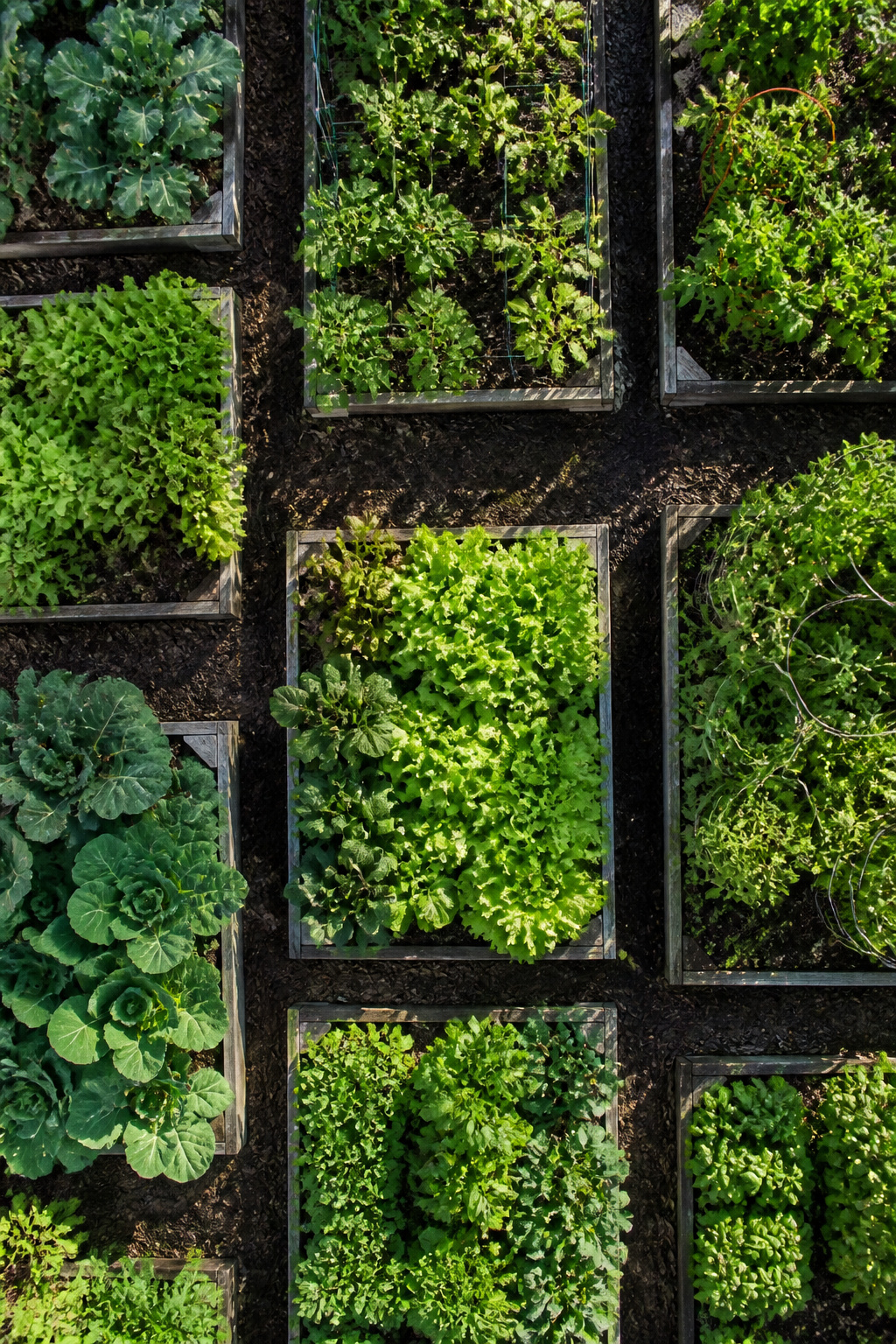 A block gardening layout with 3 to 4 feet wide beds.