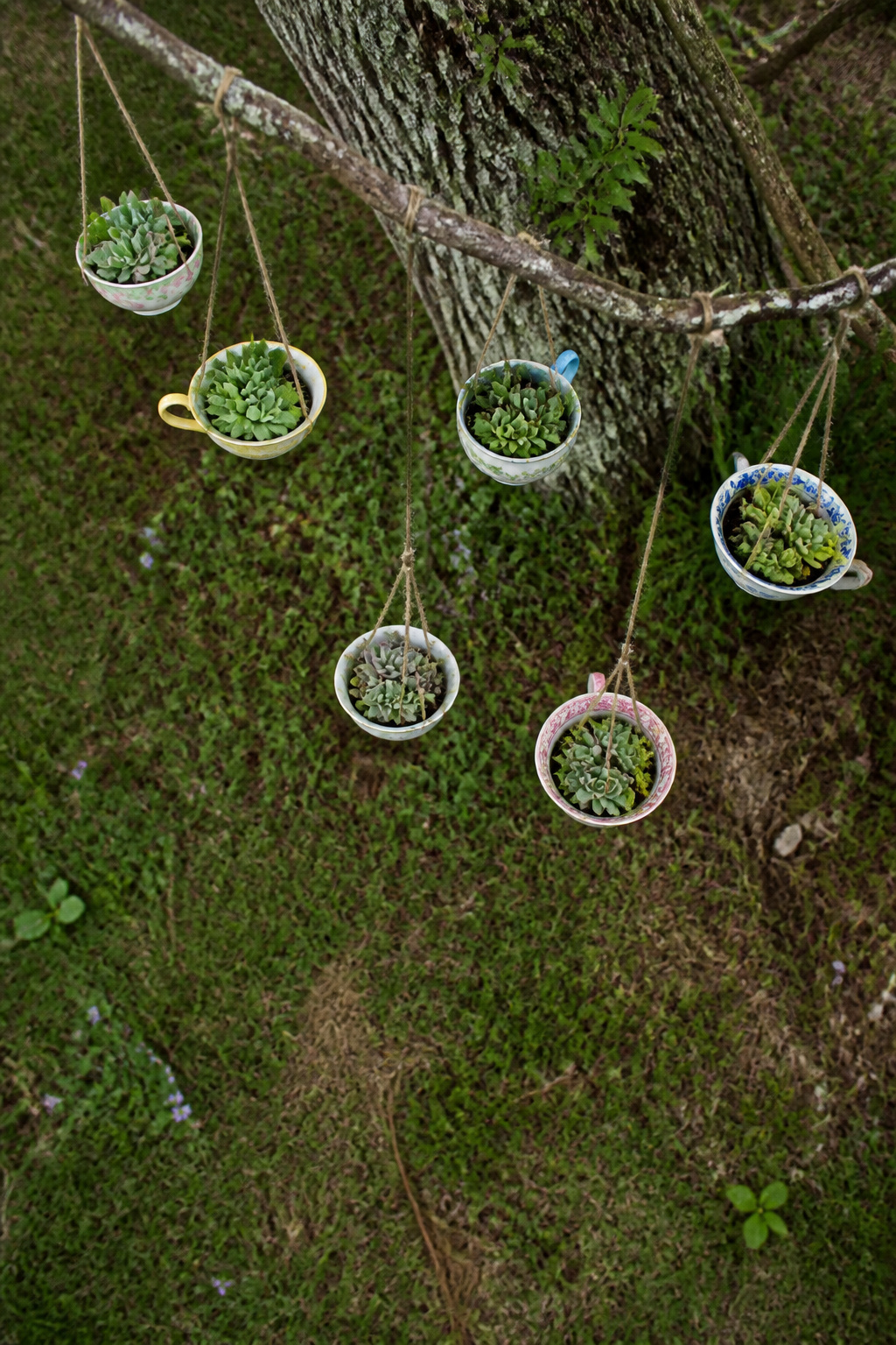 12 Yard Decorations DIY Projects for 2026 10 Teacups suspended as hanging planters for small plants.