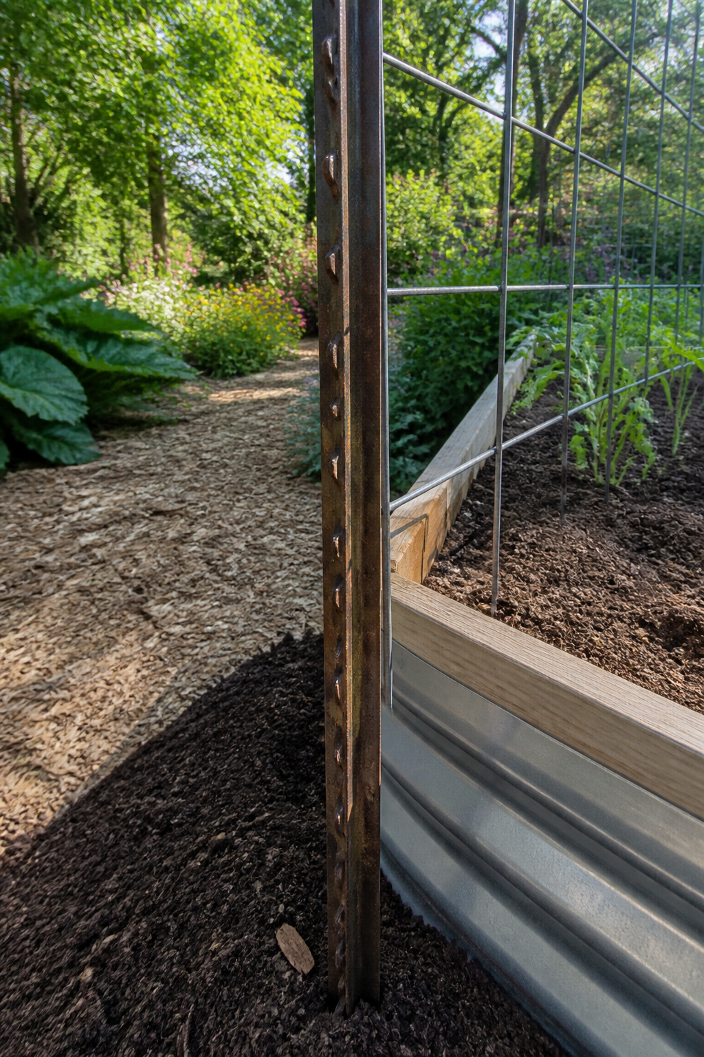 Close-up of a T post and cattle panel in a garden bed.