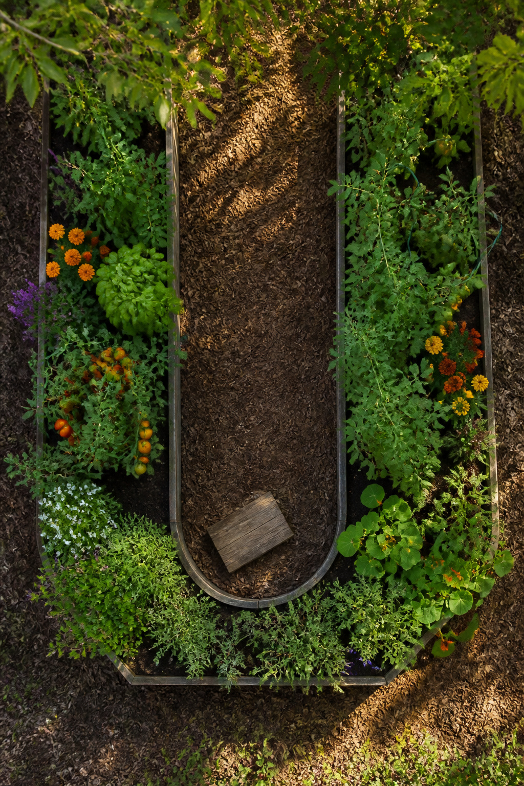 U-shaped raised garden beds surrounding a central pathway.